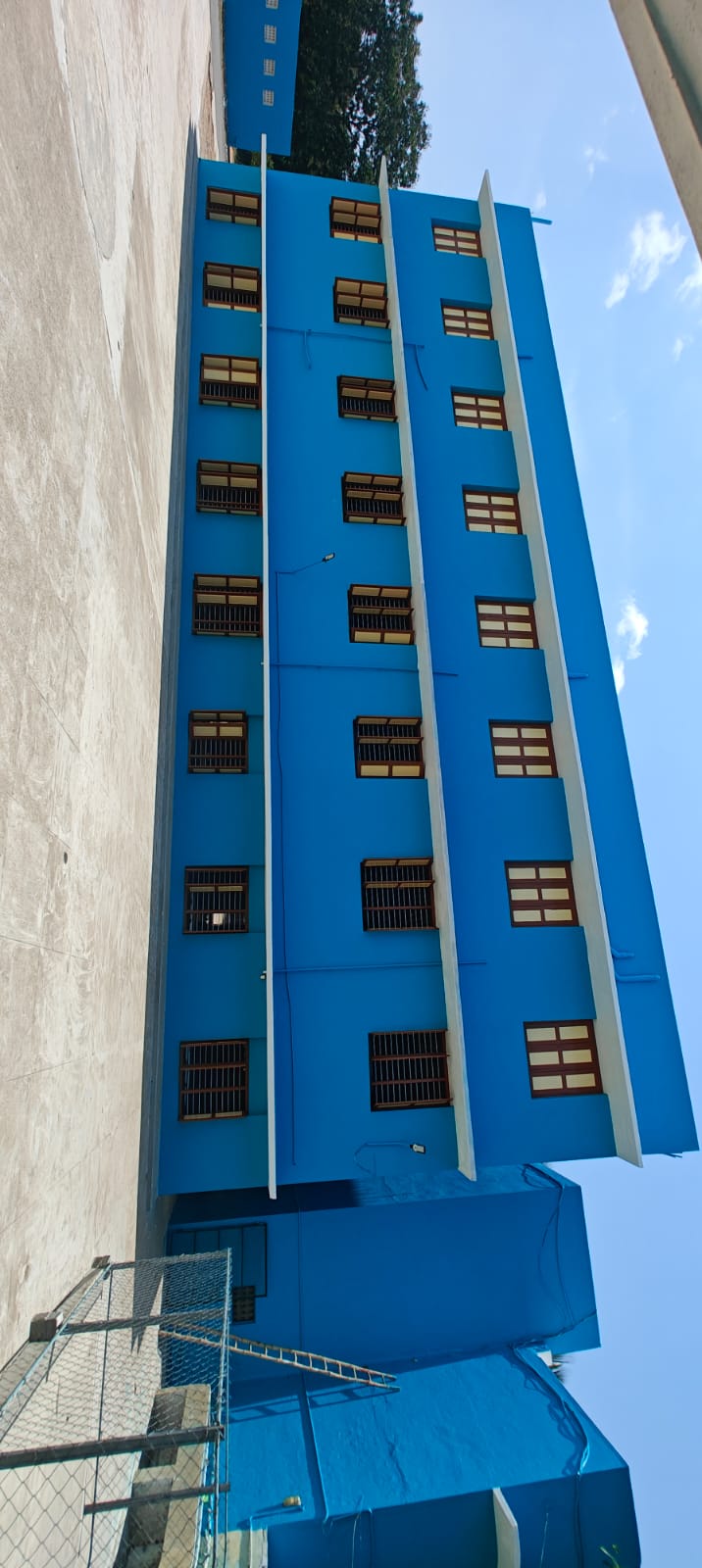 Wall Painting photo 21