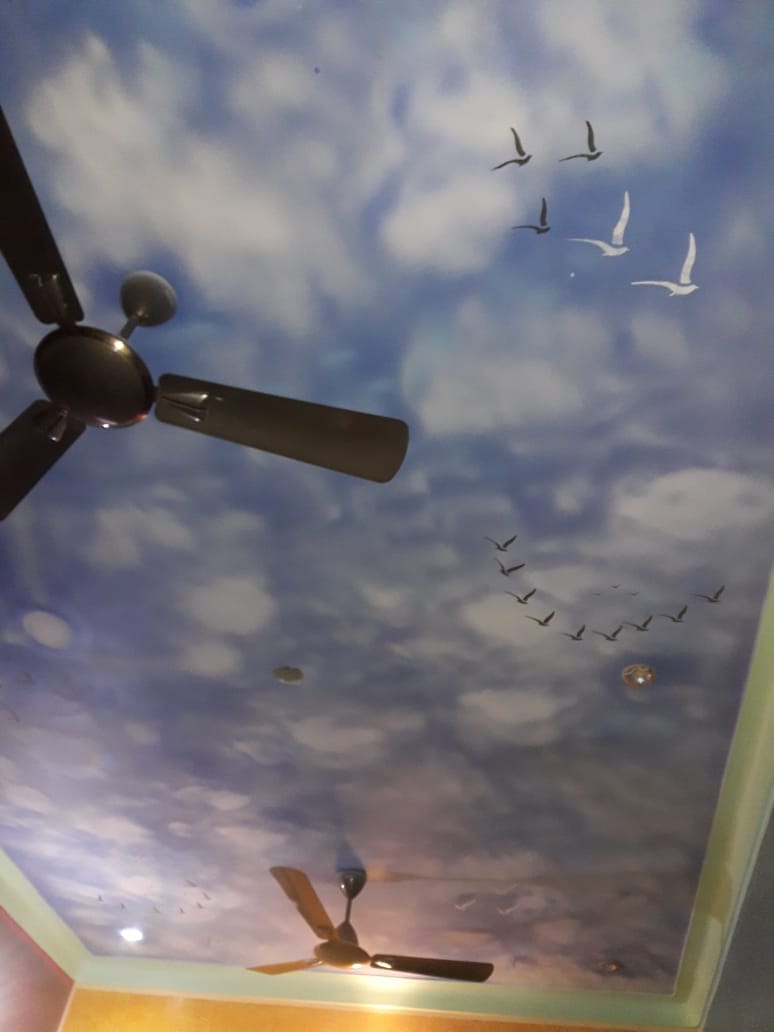 False Ceiling photo 12
